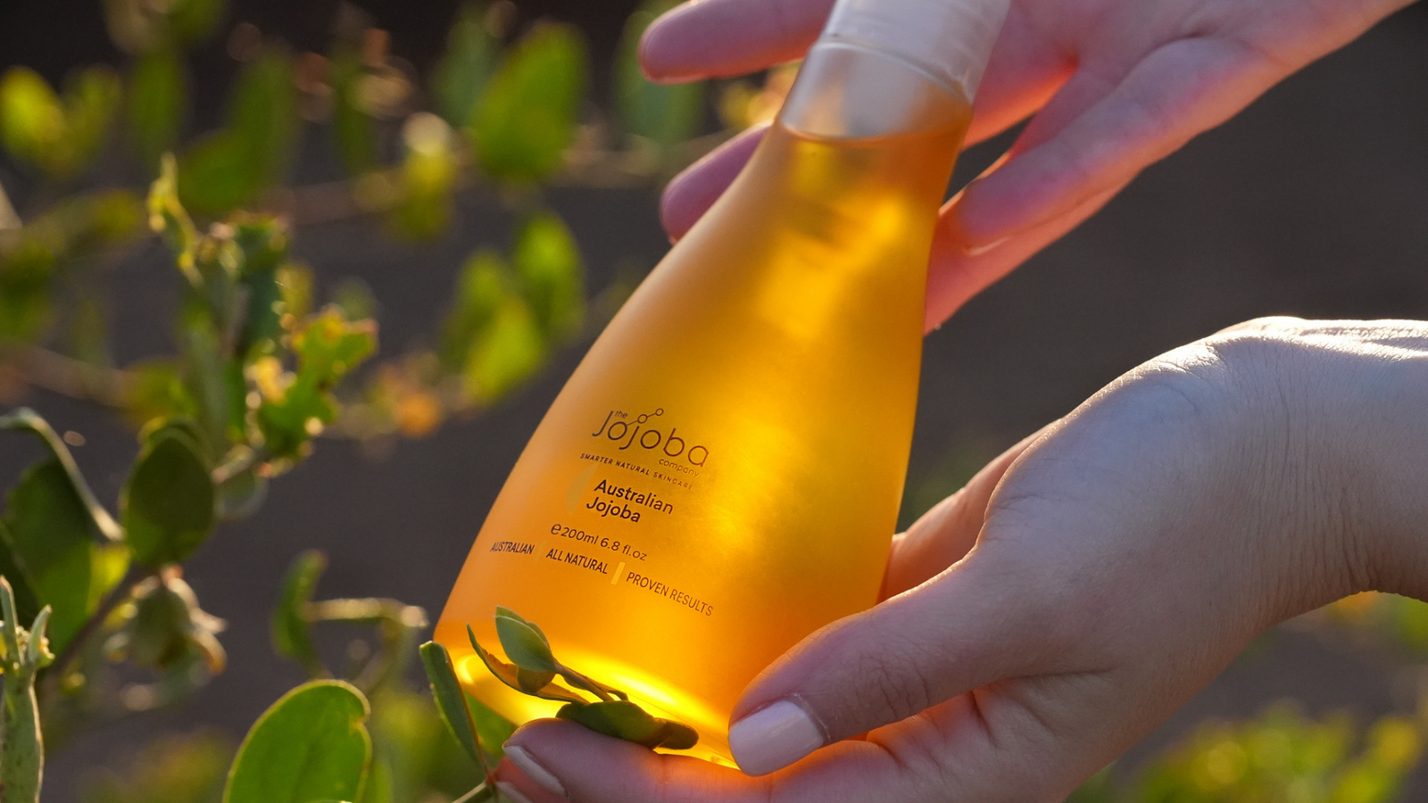 15 Reasons to Love Jojoba